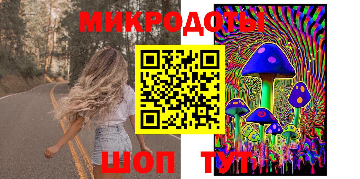 Псилоцибиновые грибы Psilocybe Можга
