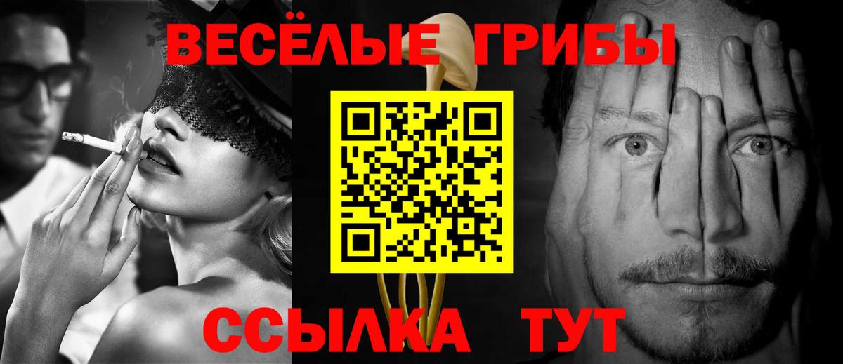 купить наркоту  Псилоцибиновые грибы Psilocybe  Вход с VPN  Можга 